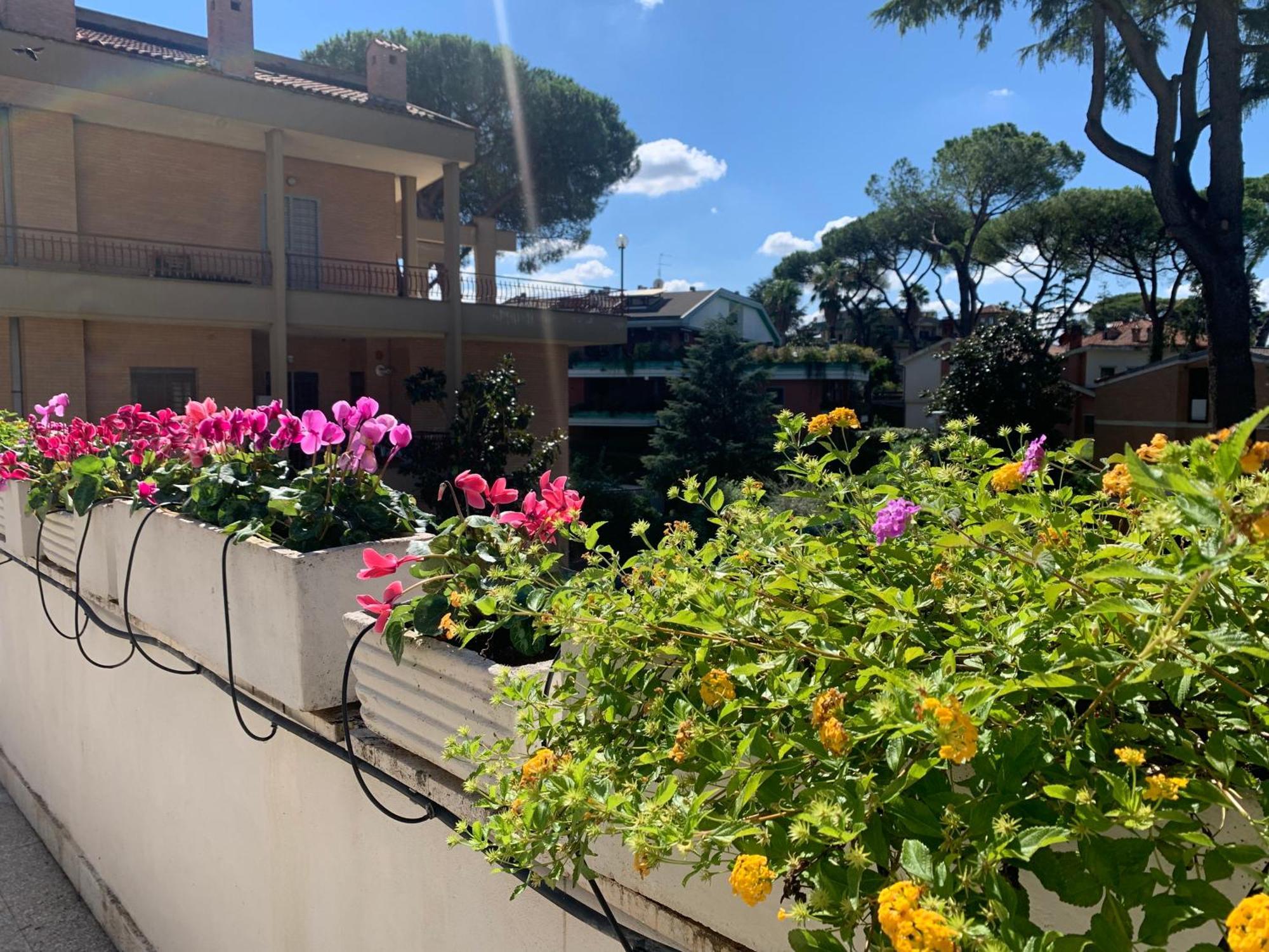 Villa Orsini — Photos 1